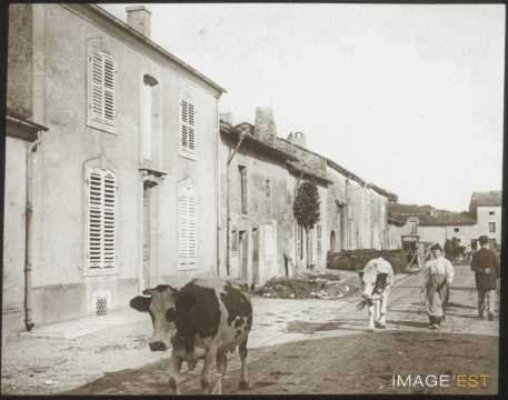 Vaches et fermière (Gondreville)